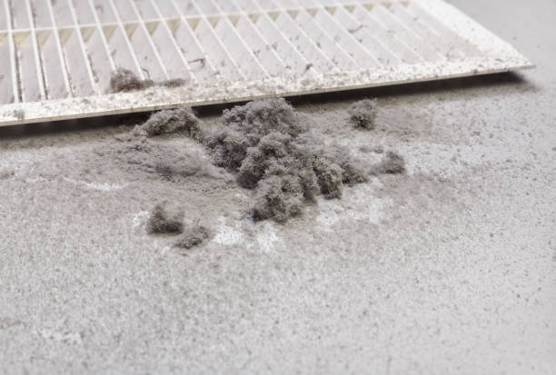 Best Air Duct Cleaning Near Me  in Arlington, OH